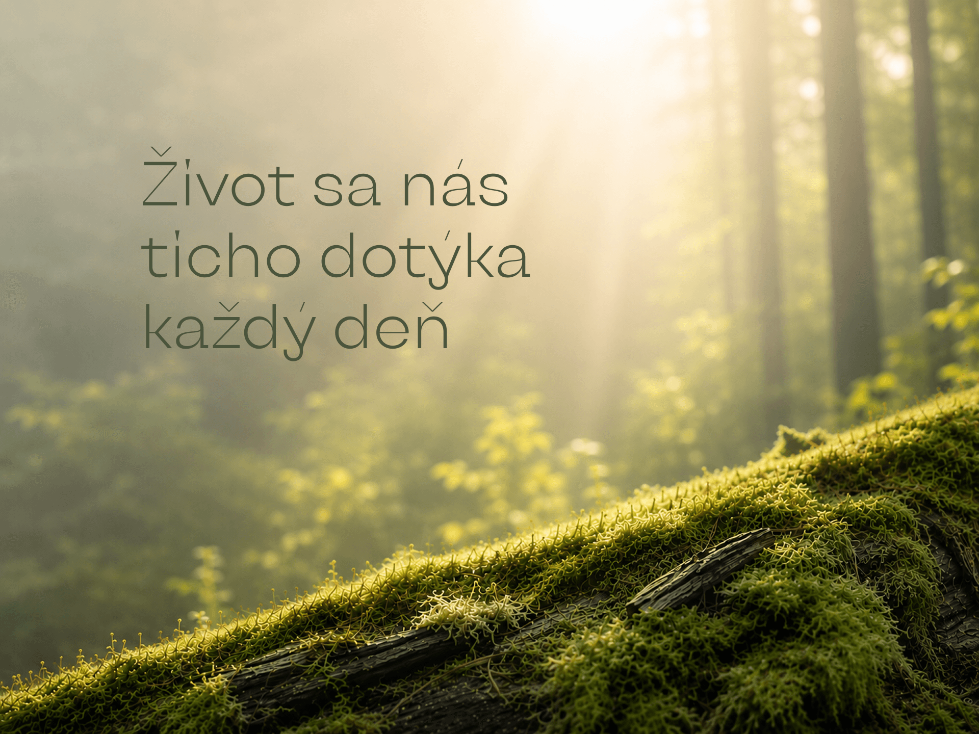Život sa nás ticho dotýka každý deň
