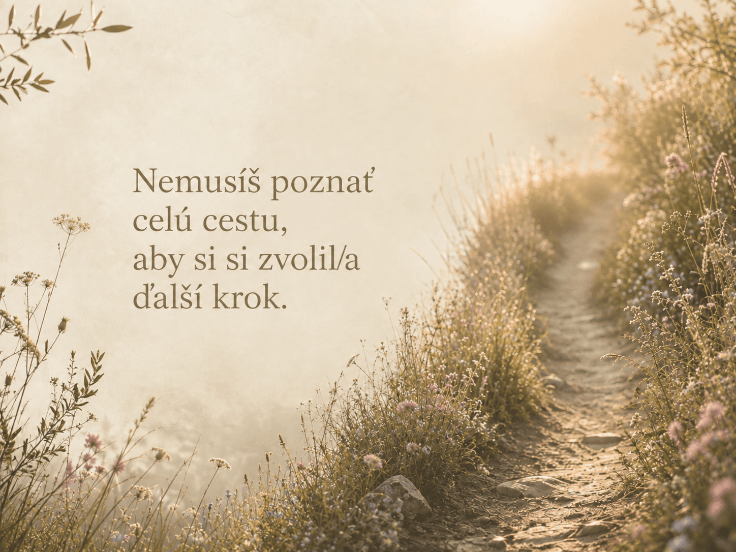 "úzky lesný chodník v hmle"