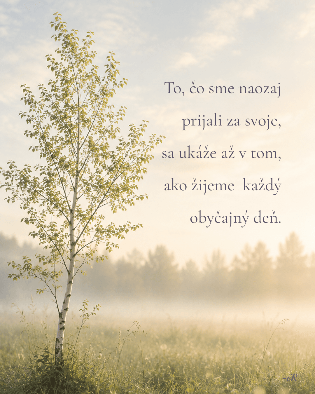 "breza na lúke"