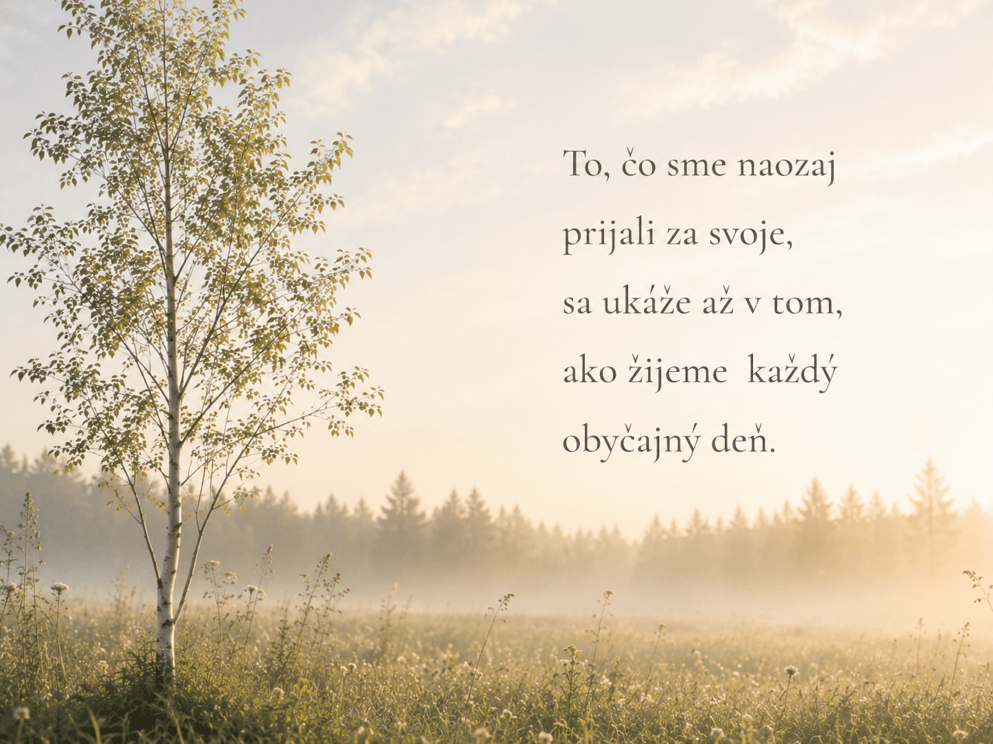 strom-pri-lese