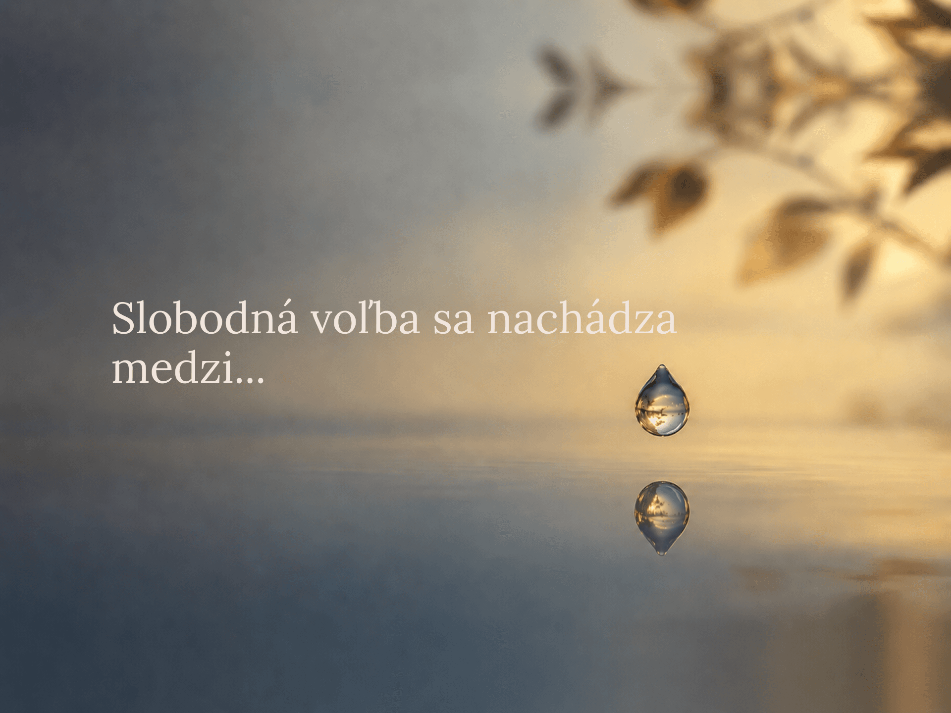Skôr než zareagujeme